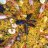 PETU