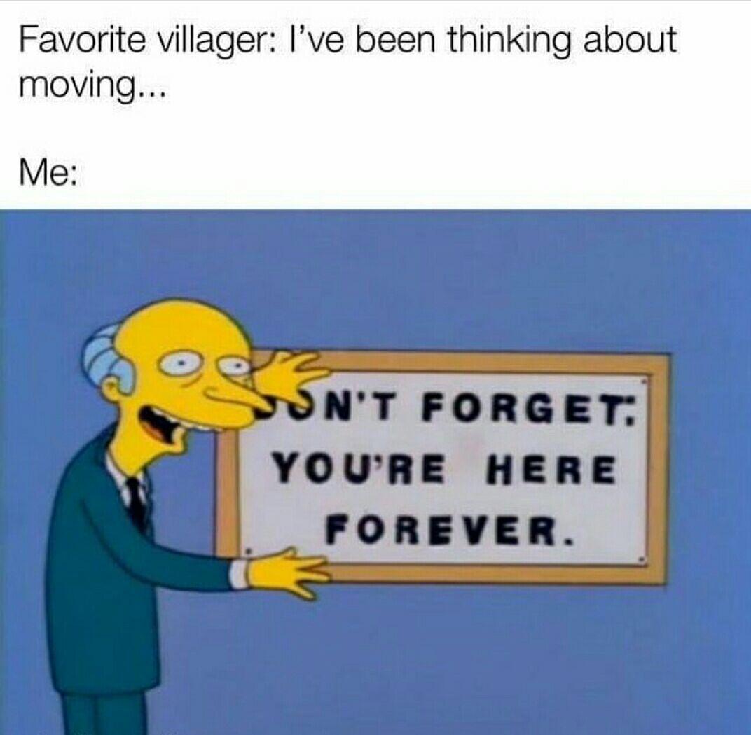 euv3RvJ.jpg